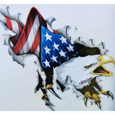 Adlerkopf mit Flagge USA, Aufkleber, Sticker