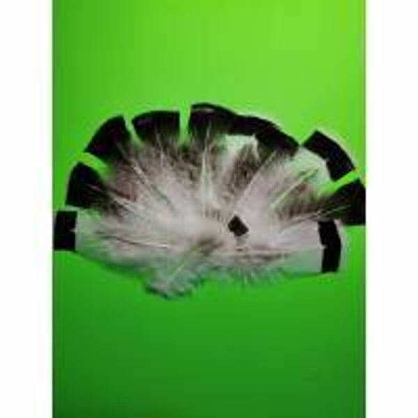 Truthahn Federn, klein, 10 St. (THF4)