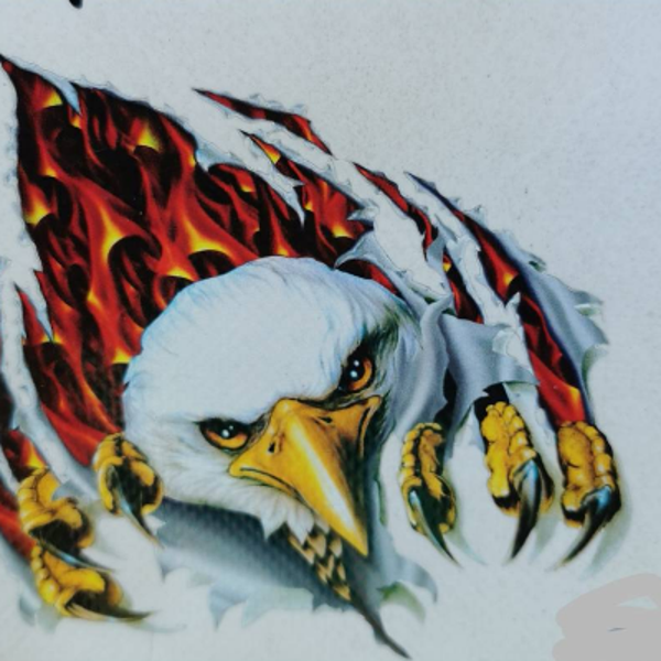 Adlerkopf mit Feuer, Aufkleber