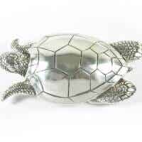 Schildkröte, als Buckle, Gürtelschließe für Wechselgürtel