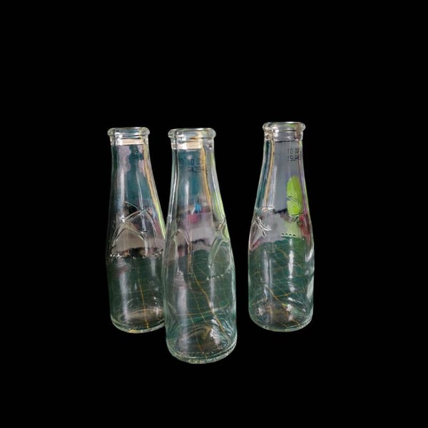 3 Glasfläschchen zur Stecklingsaufzucht