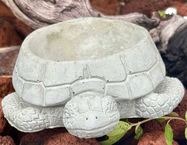 Sea Turtle Succulent Planter