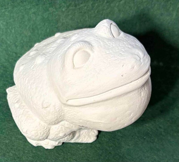 Small Bull Frog