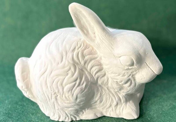 Lying Bunny