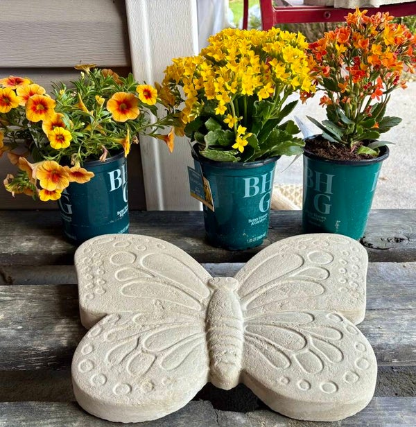 Butterfly Stone