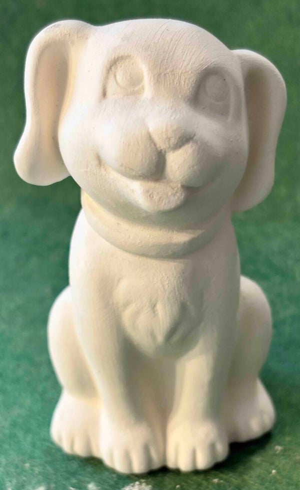 Dog Small