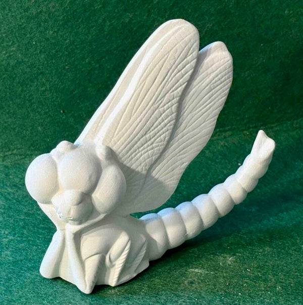 Cute Dragonfly