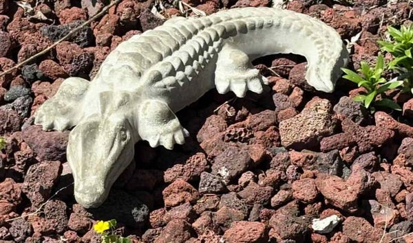 Cement Gator With Curled Tail