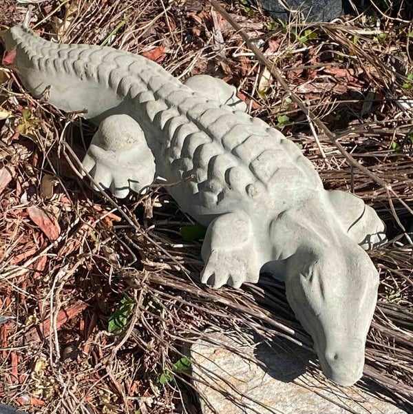 Gator With Straight Tail