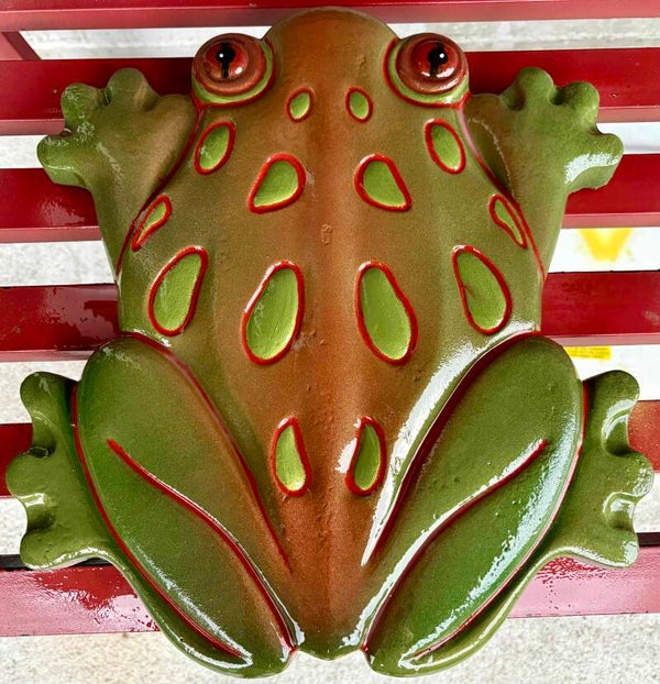 Reddish Green Frog