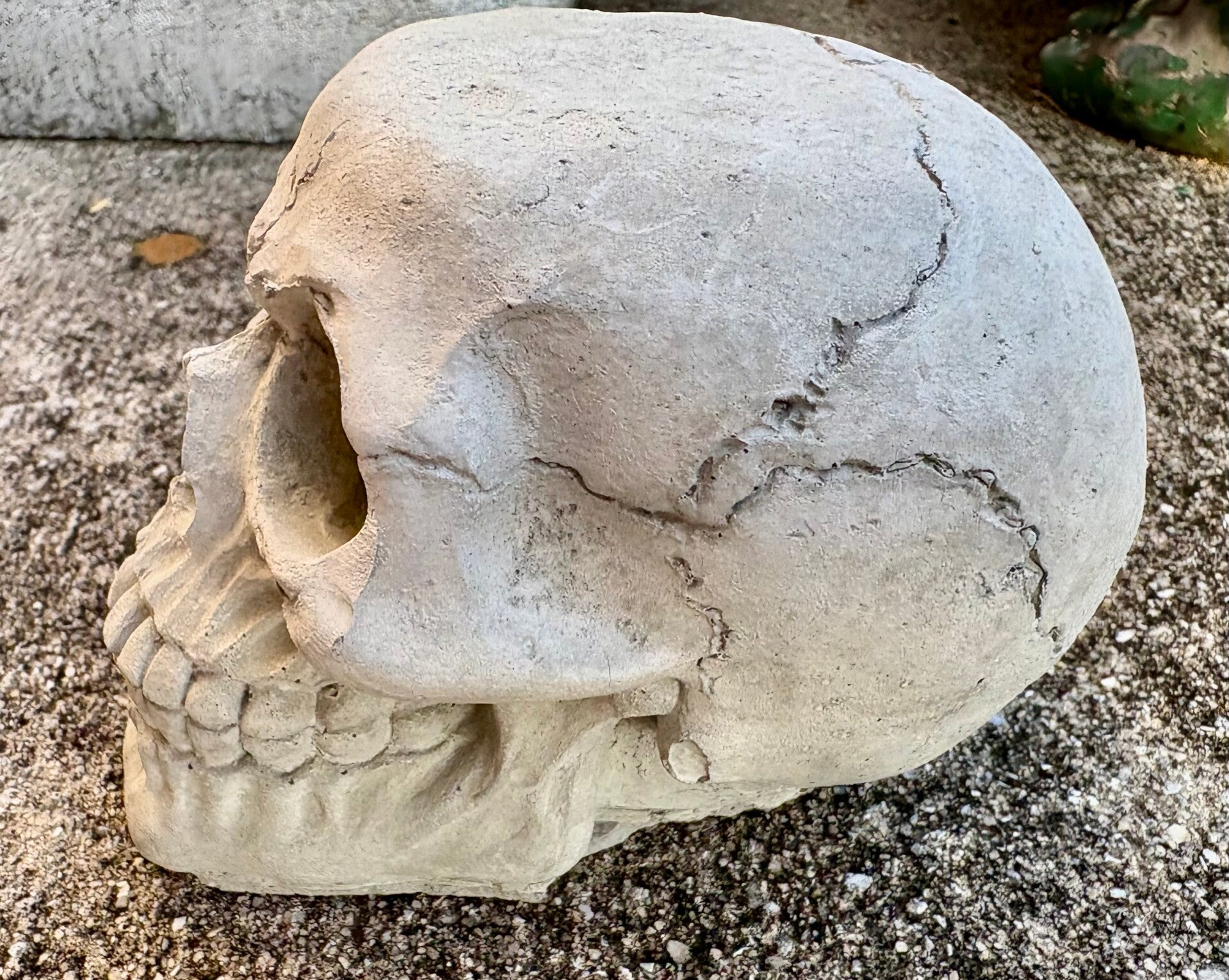 Small Skull