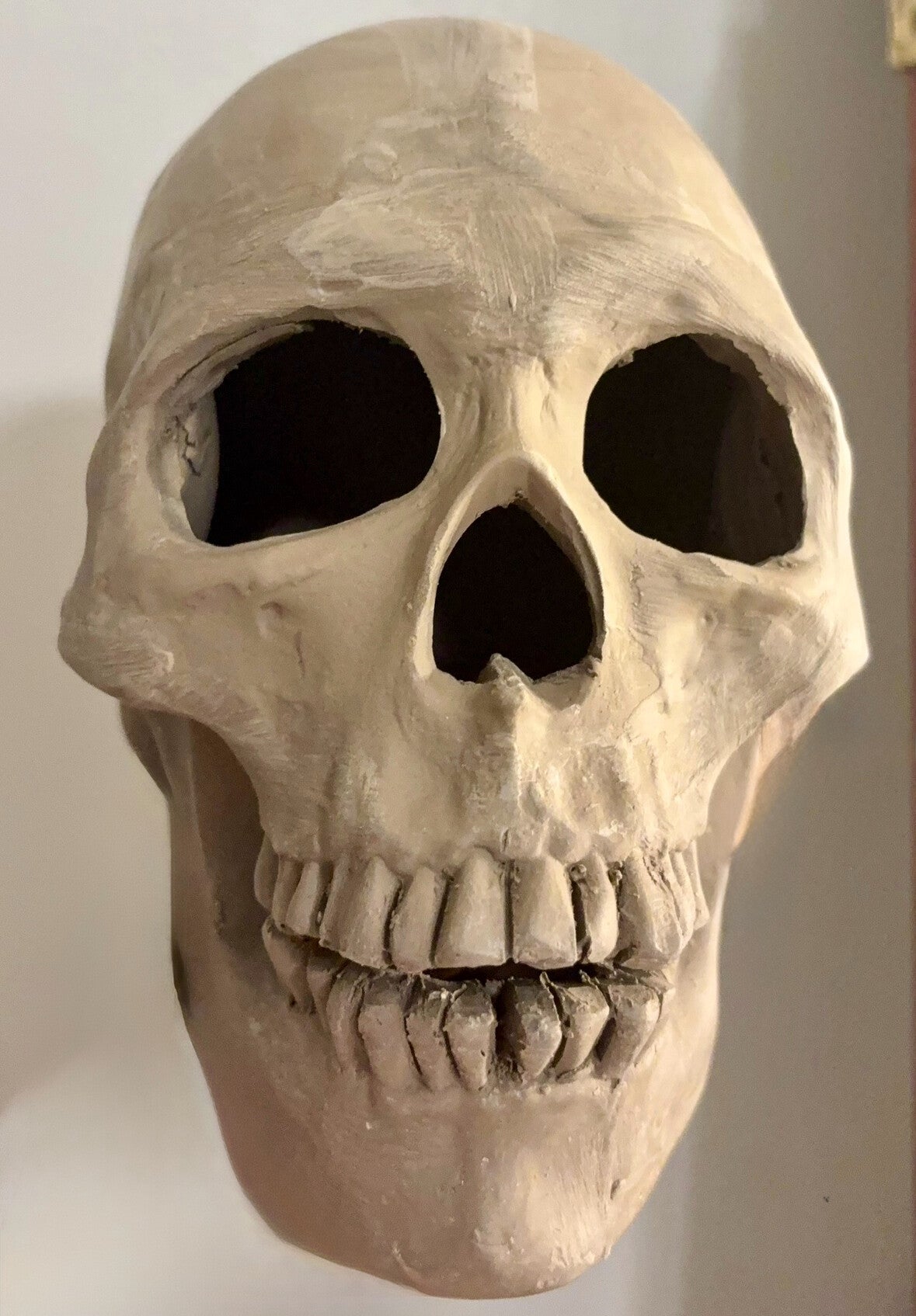 Realistic Skull