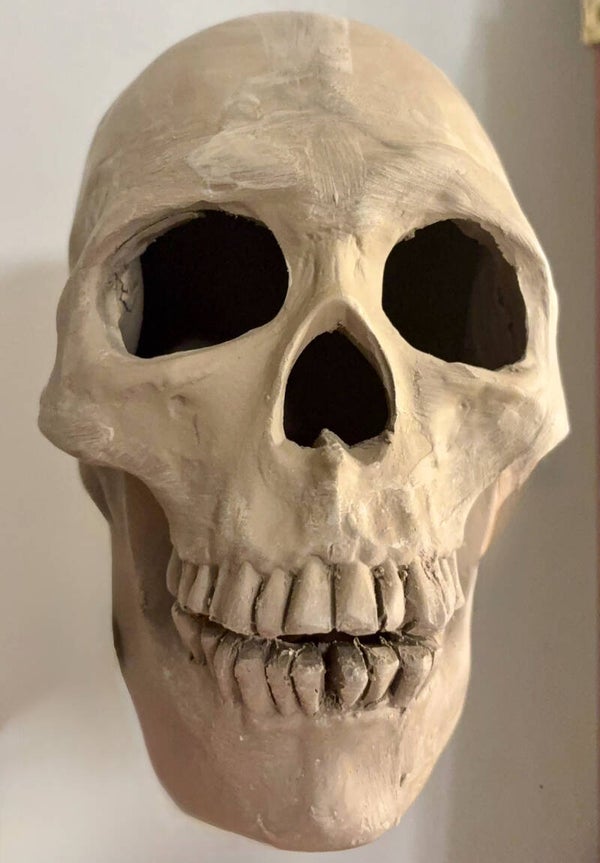 Realistic Skull