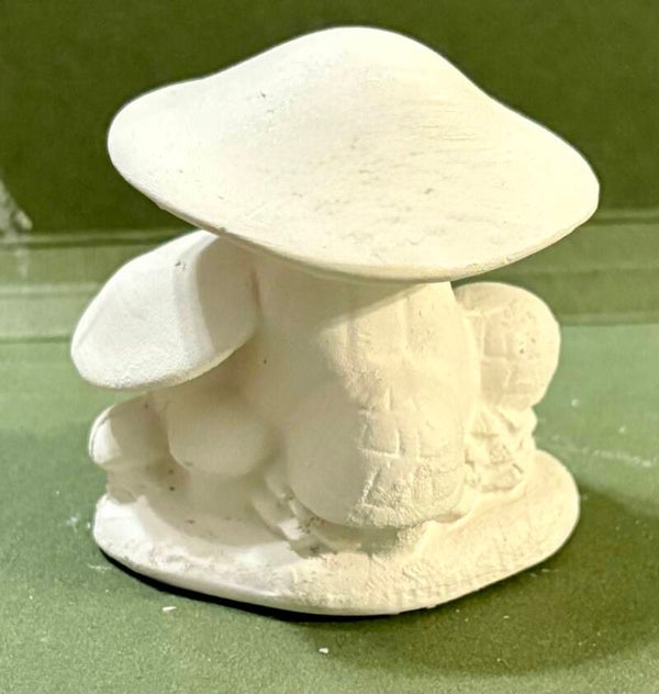 Tiny Mushroom Cluster