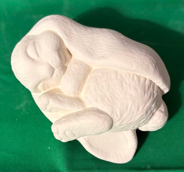 Sleeping Bunny
