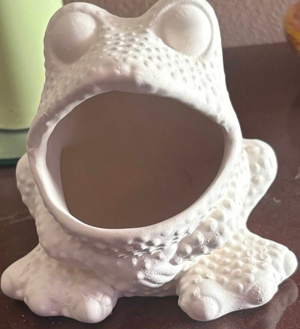 Bumpy Frog Brillo Holder