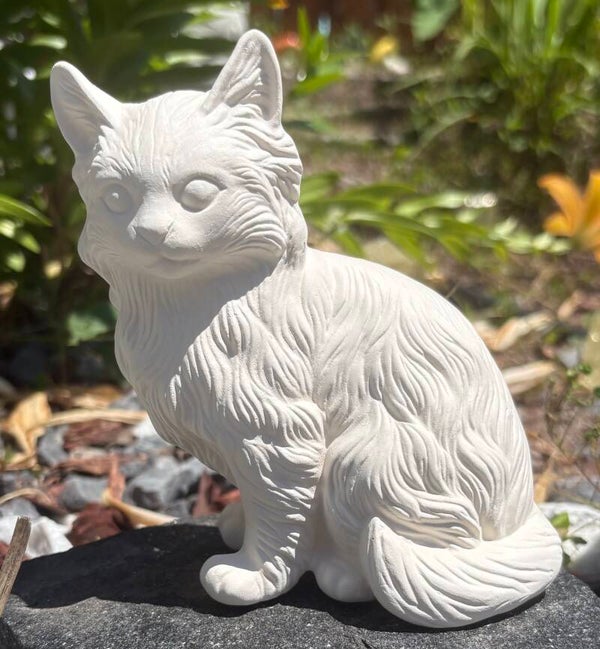 Sitting Cat