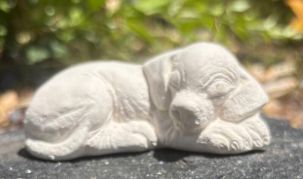 Small Sleeping puppy