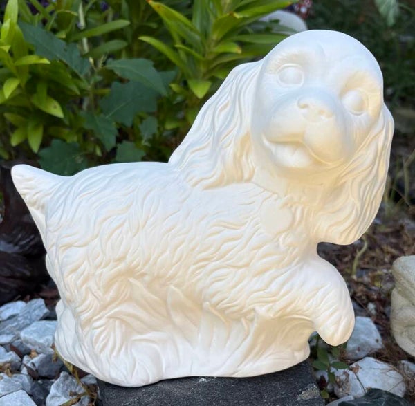 Cocker Spaniel