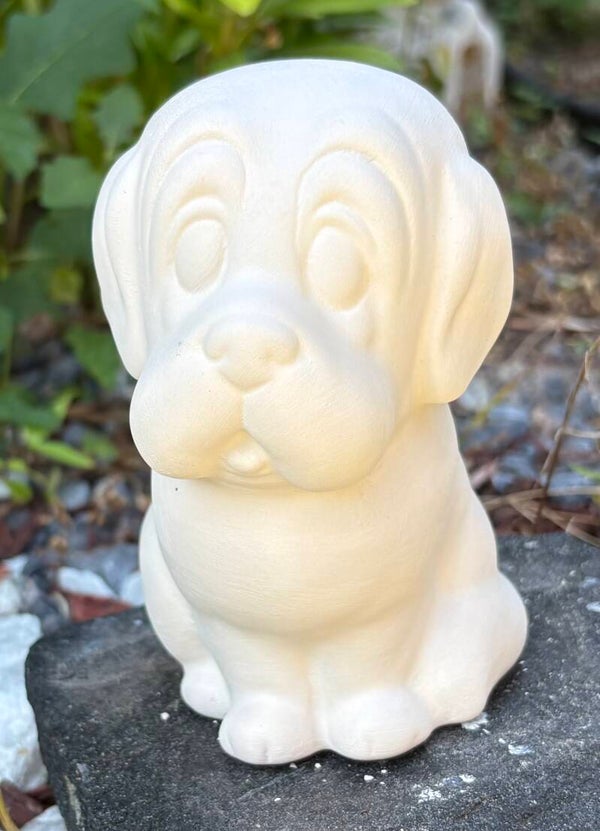 ST. Bernard Puppy