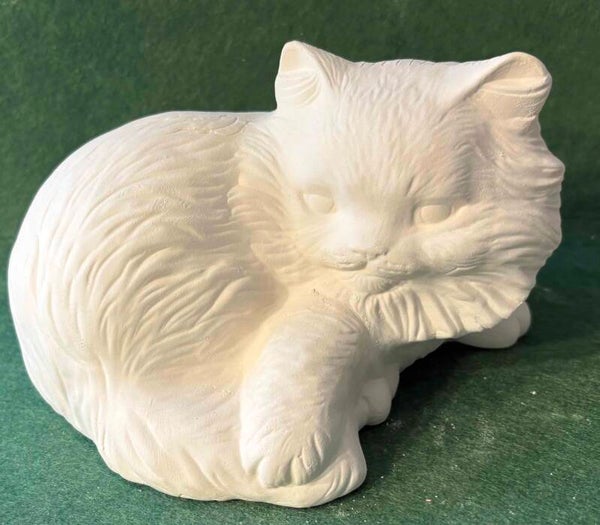 Laying Down Cat