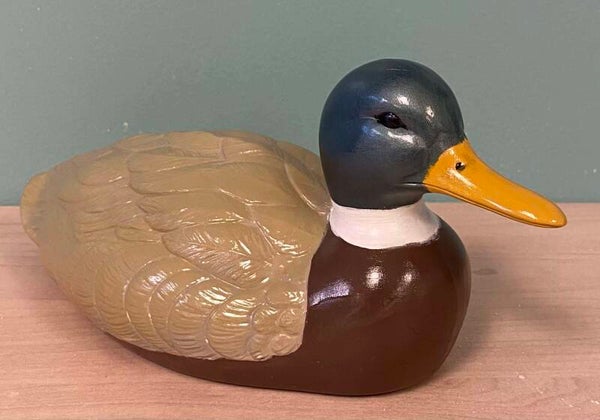Mallard Duck