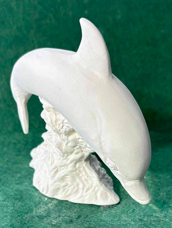 Single Dolphin