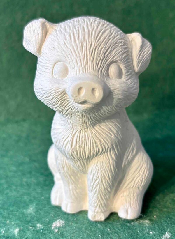 Sitting Pig