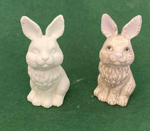 Sitting Bunny