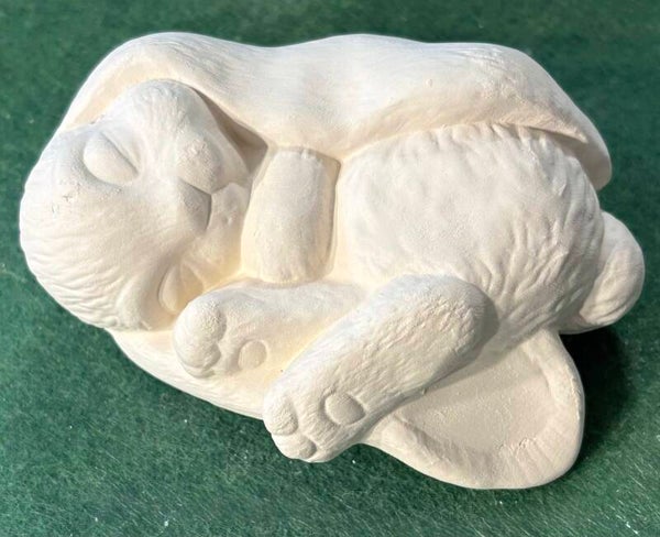 Sleeping Bunny