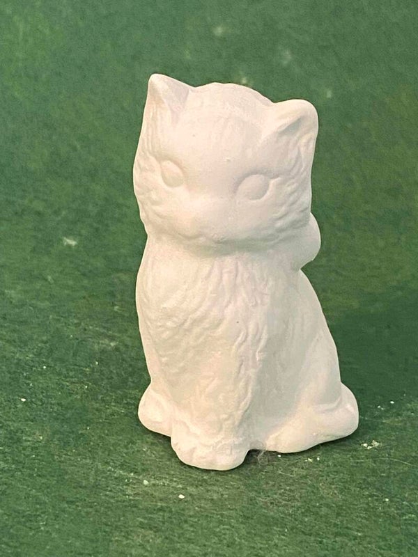 Small Cat