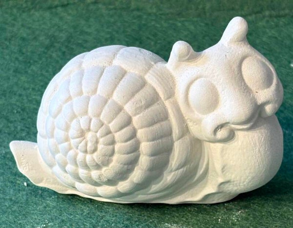 Cute Snail
