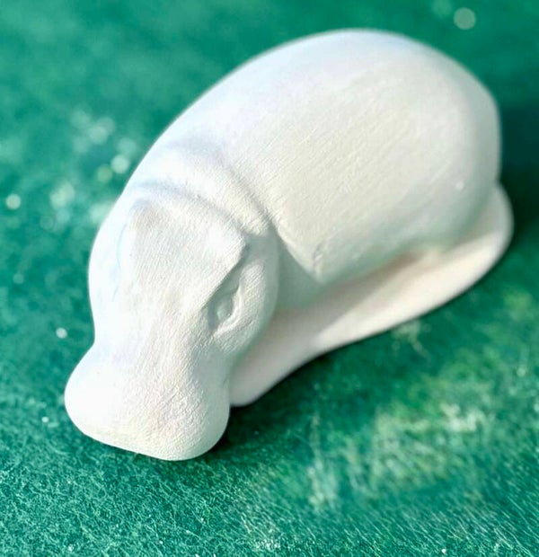 Tiny Hippo