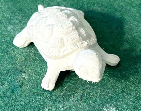 Tiny Turtle