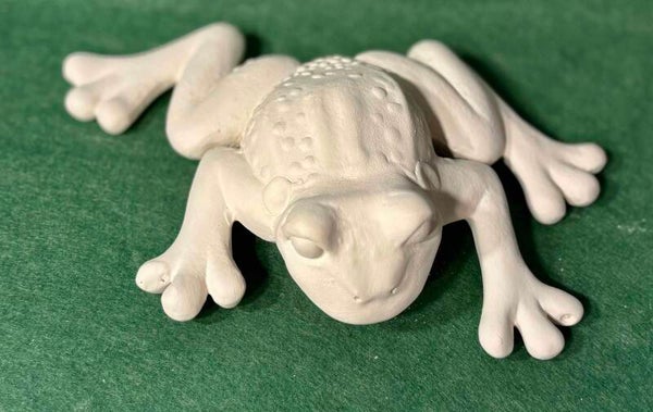 Tree Frog