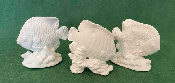 Tropical Fish Set of 3