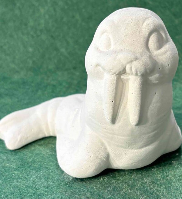 Walrus