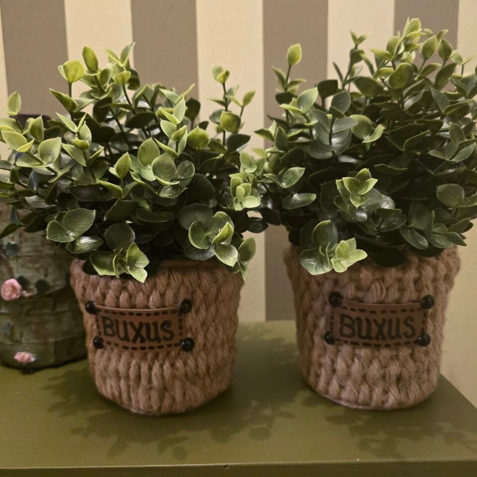 Bux & Cozy Buxus in een stoer jasje