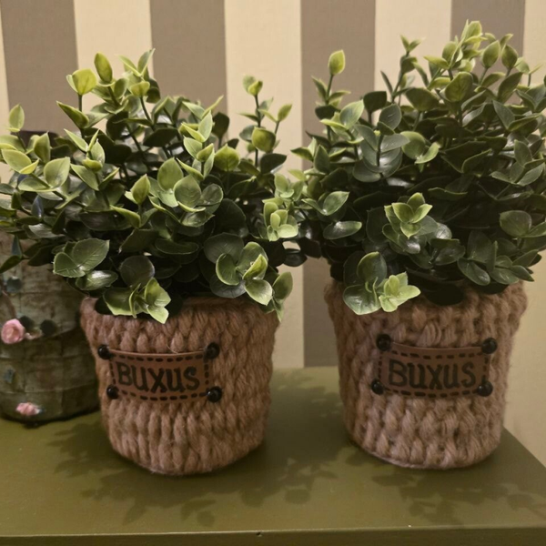 Bux & Cozy Buxus in een stoer jasje