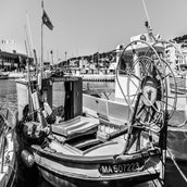 DSC_9259-2.jpg