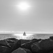 DSC_5893.jpg