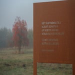DSC_5549.jpg