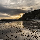 DSC_1070.jpg