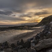 DSC_1011.jpg