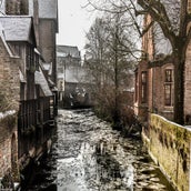 DSC_6519.jpg