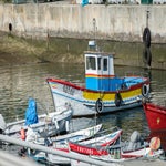 sesimbra-wildedolfijnenspotten.jpg