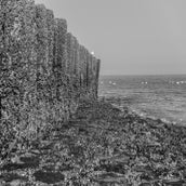 DSC_0809.jpg
