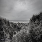 oostduinkerkezw-w-4.jpg