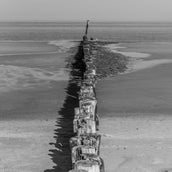 DSC_0817-1.jpg