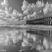DSC_2964-2.jpg